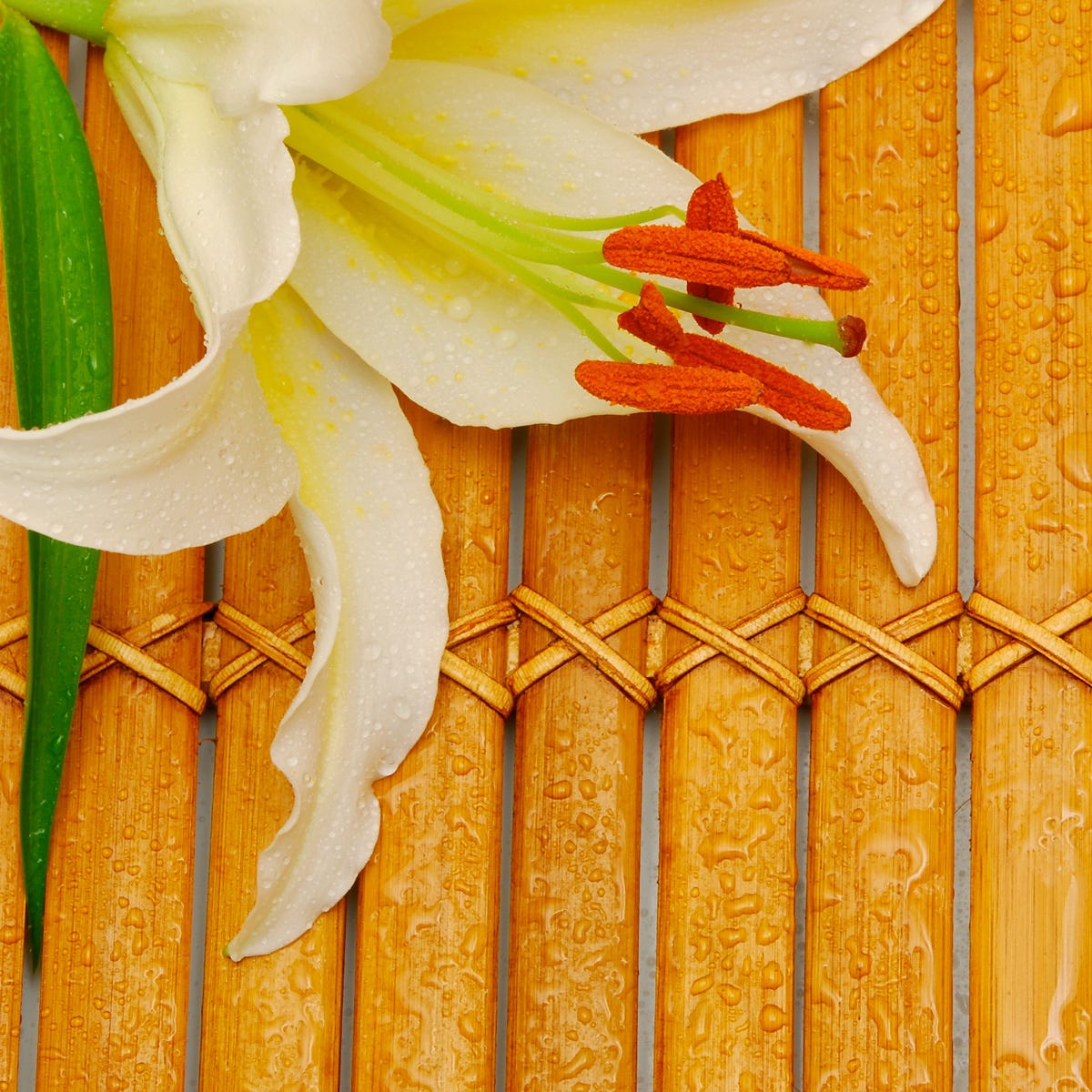 white lily oil Bamboo & White Lily Fragrance Oil | Luxaroma