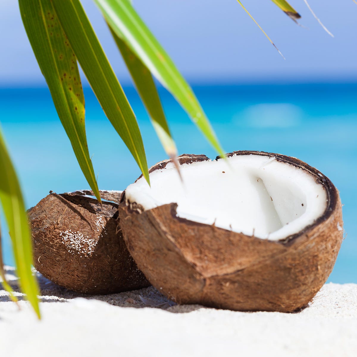 palm oil coconut Tropical Coconut Fragrance Oil | Luxaroma
