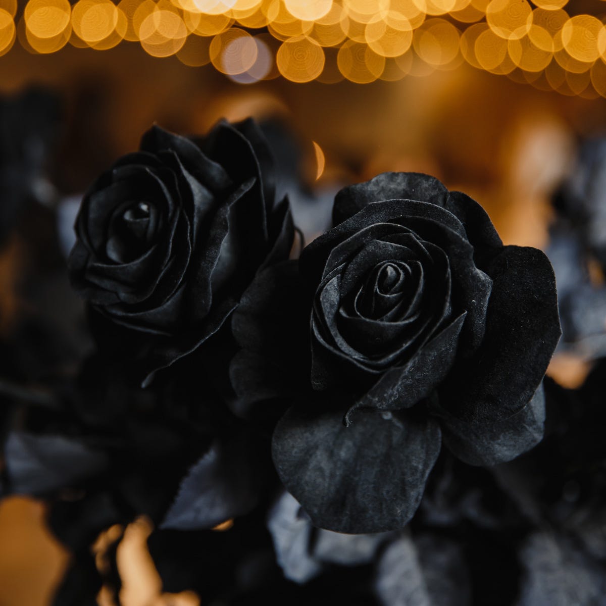 Black Rose Oud Fragrance Oil Luxaroma High Quality Scents