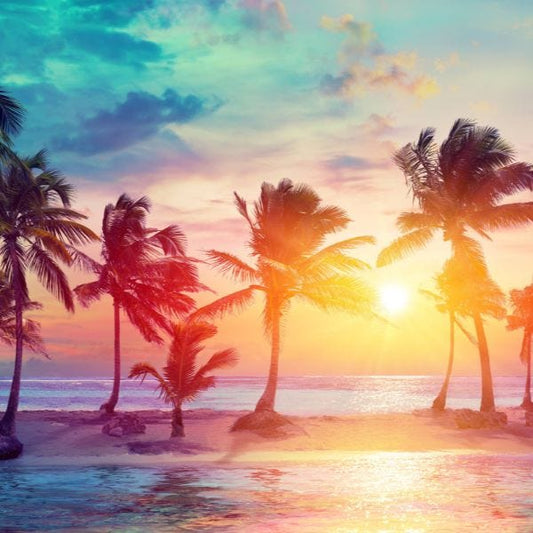 Caribbean Fragrance Oil