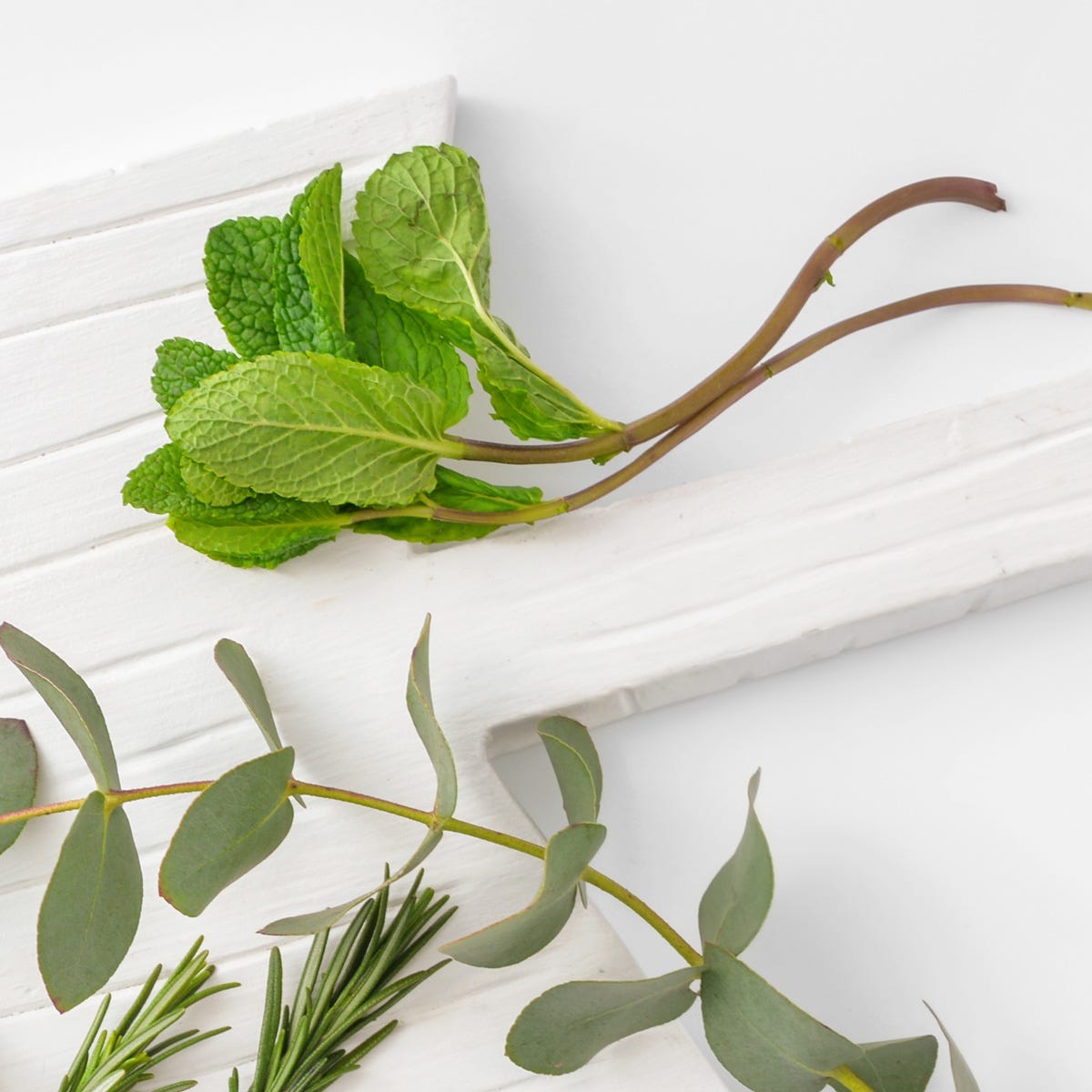 Peppermint and Eucalyptus Fragrance Oil | Luxaroma