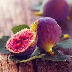 Fig Tree