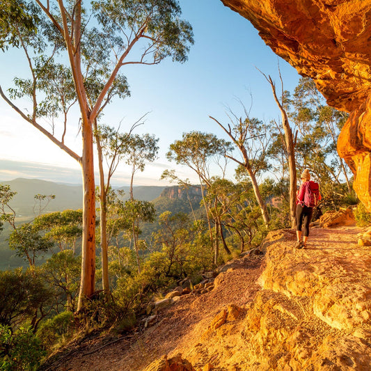 Australian Bush