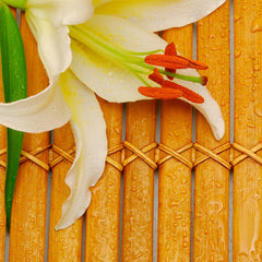 white lily aroma Bamboo & White Lily Fragrance Oil | Luxaroma