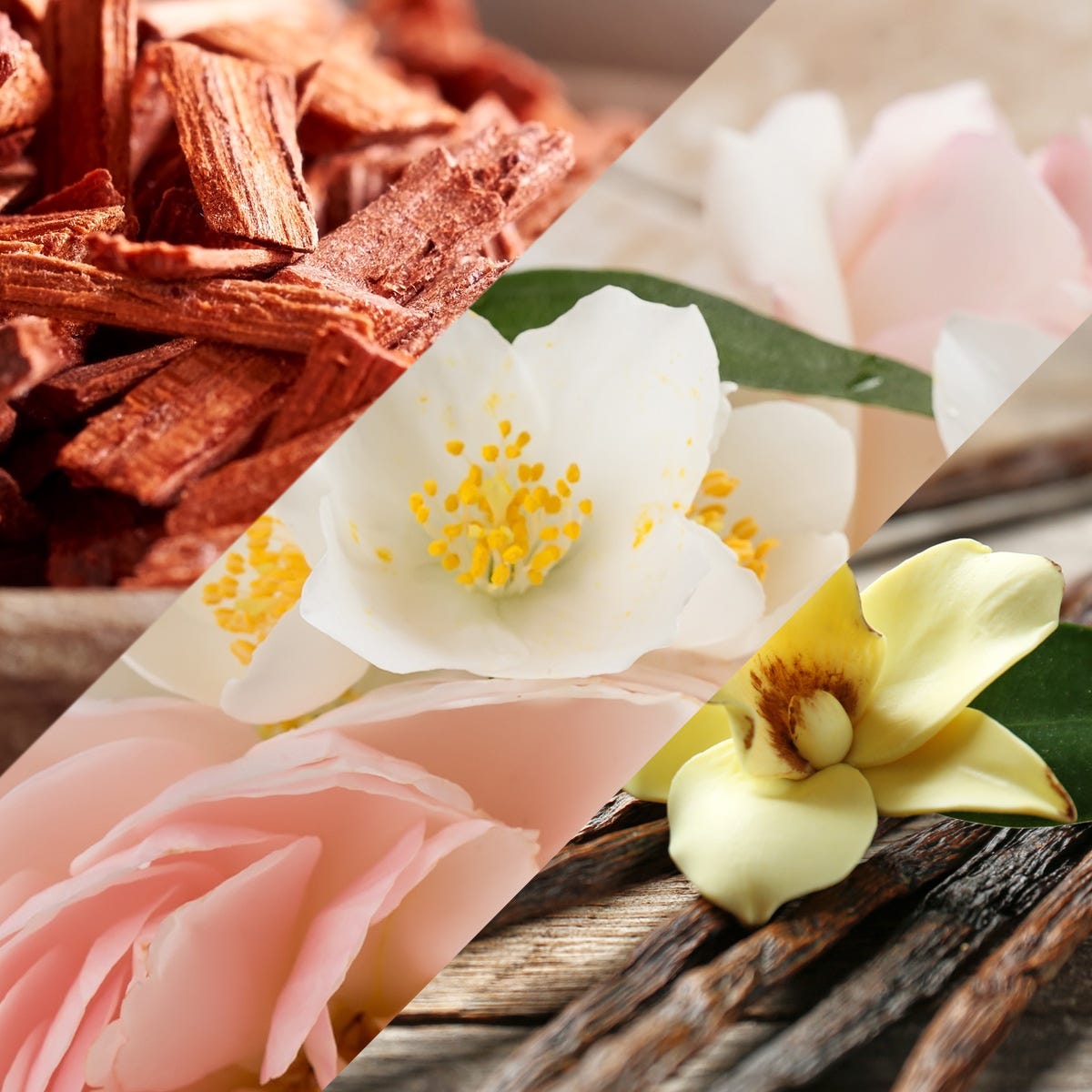 https://luxaroma.com/cdn/shop/files/21162_1.jpg?v=1716290481