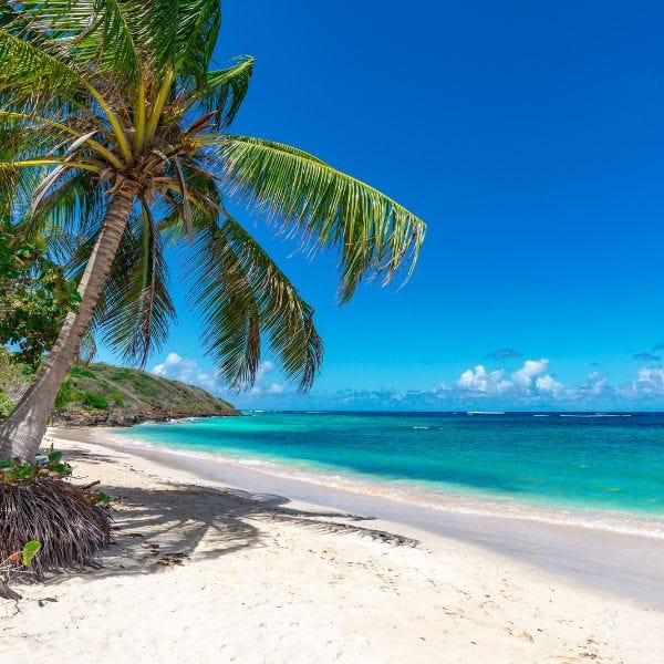 Aruba Fragrance Oil