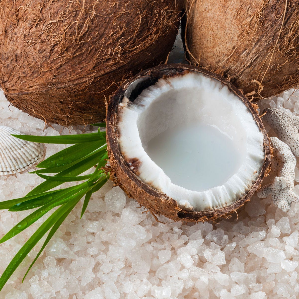 Coconut Seasalt Fragrance Oil